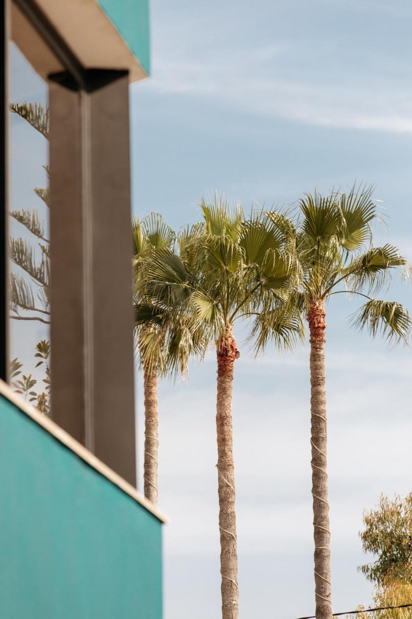 Hotel Almirante アリカンテ エクステリア 写真